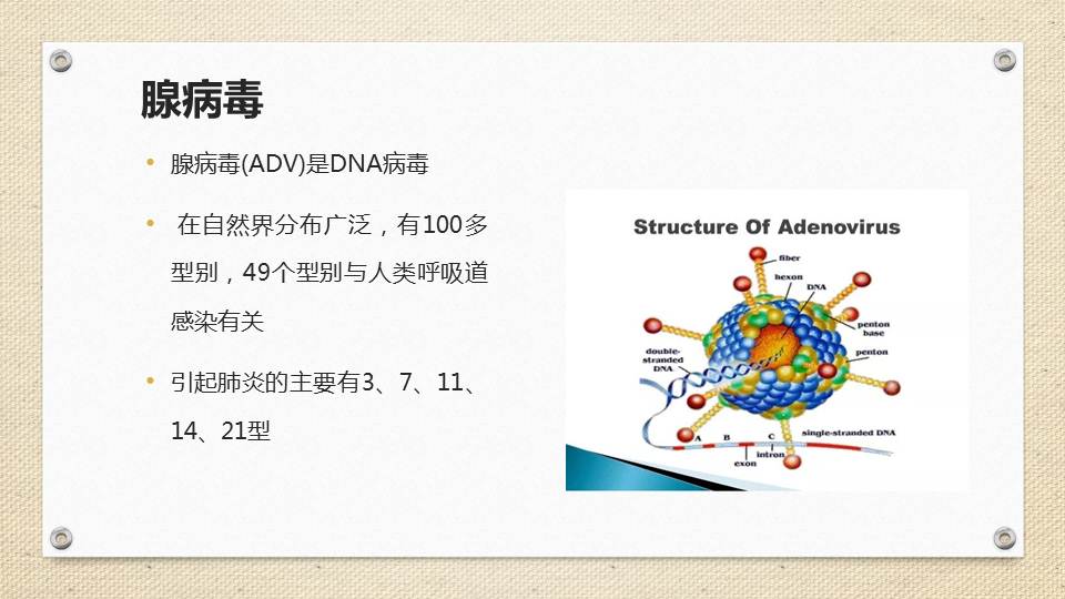 【连载】小儿肺炎的热点问题研究-3小儿腺病毒肺炎