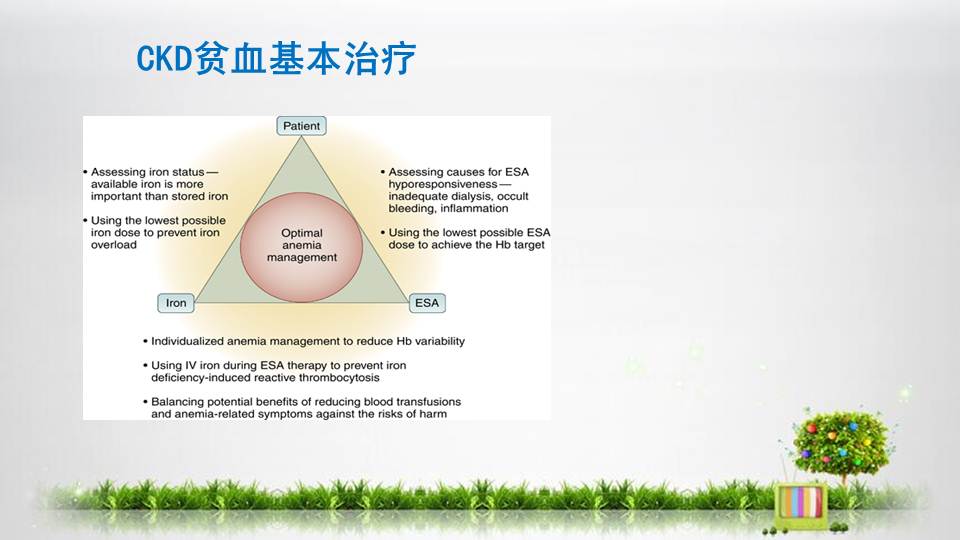 【連載】2左卡尼汀改善血透患者貧血與esa抵抗-卡尼汀缺乏與血液透析