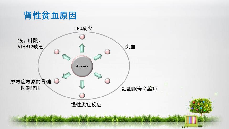 左卡尼汀治疗弱精症图片